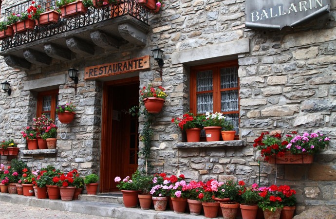 Las begonias, una explosión de color