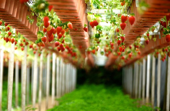 Come de acuerdo a la estación