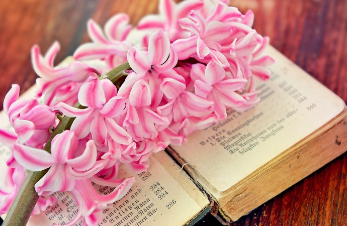 Consigue tus deseos con “El poder de la intención”