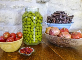 Alimentos probióticos: ¿Qué son y para qué sirven?