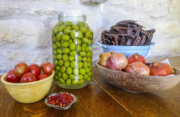 Alimentos probióticos: ¿Qué son y para qué sirven?